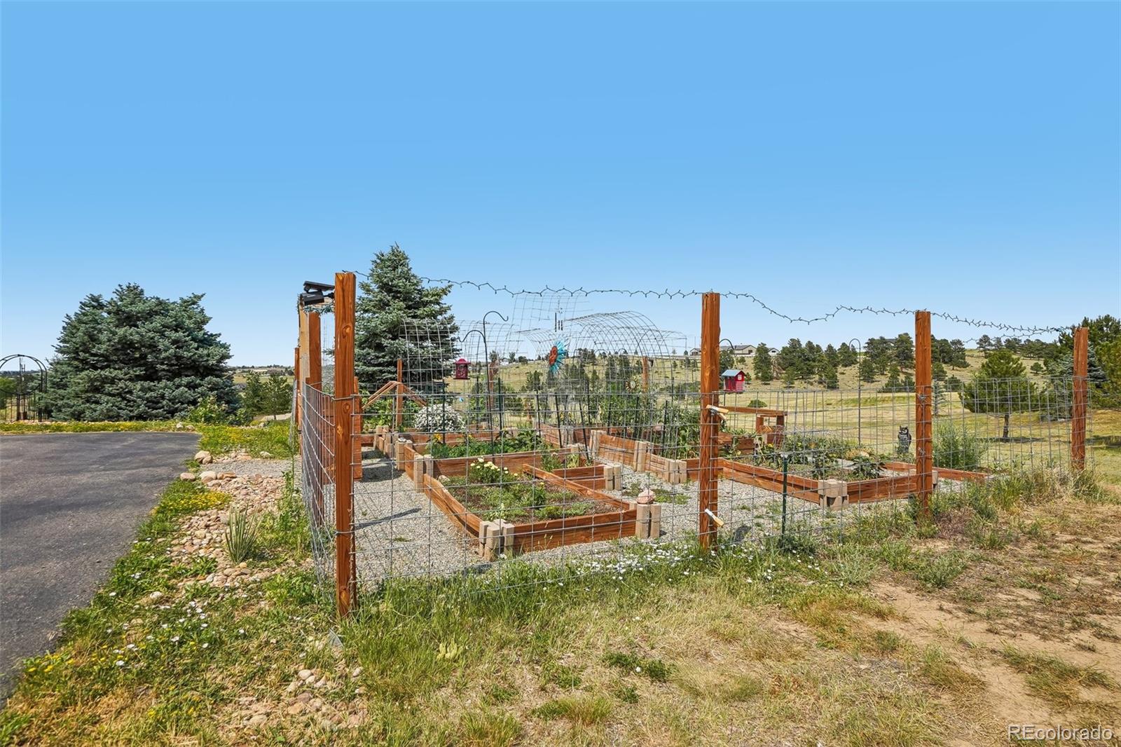 MLS Image #42 for 11646  dunrich road,parker, Colorado