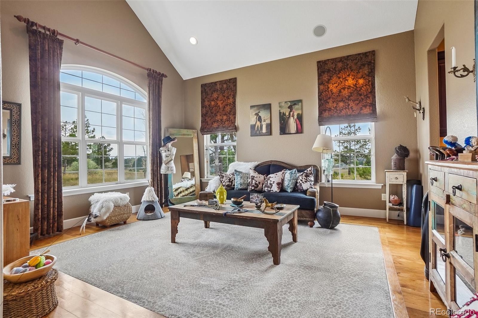 MLS Image #5 for 11646  dunrich road,parker, Colorado