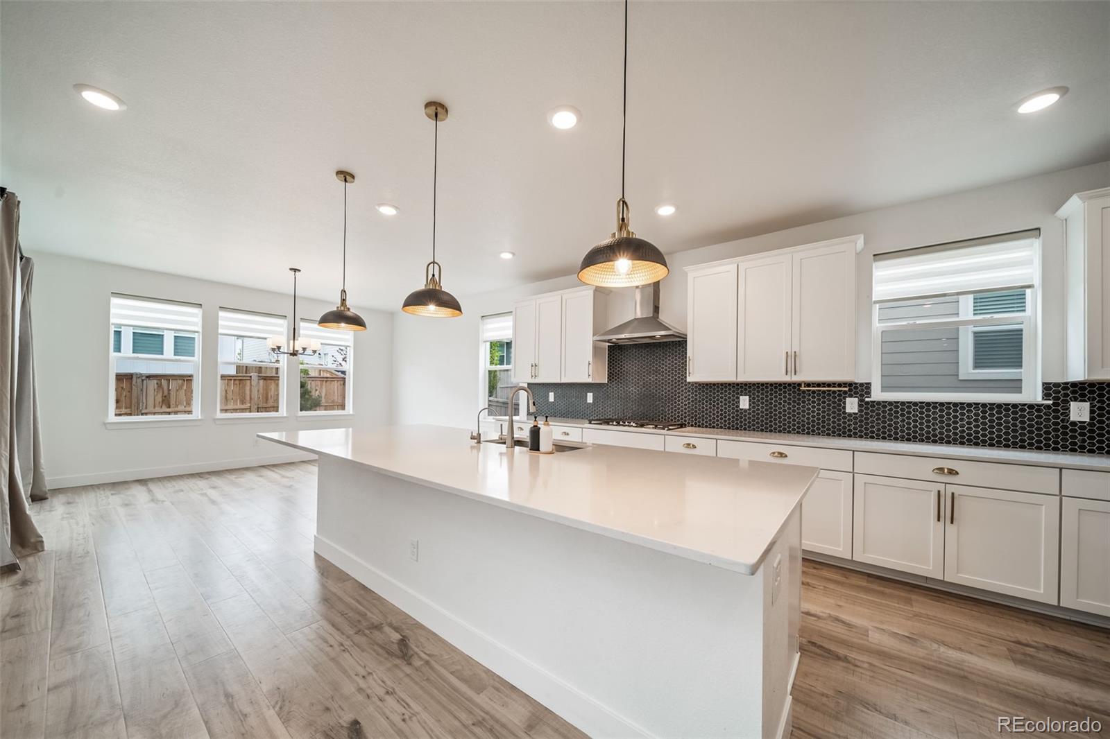 MLS Image #13 for 16596  dry camp drive,parker, Colorado