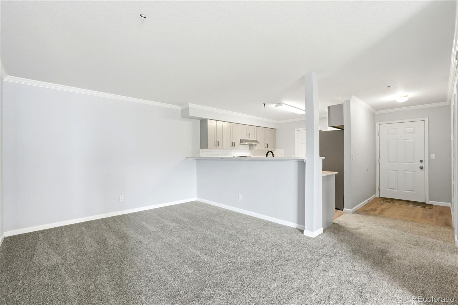 MLS Image #12 for 5667 s urban street,littleton, Colorado