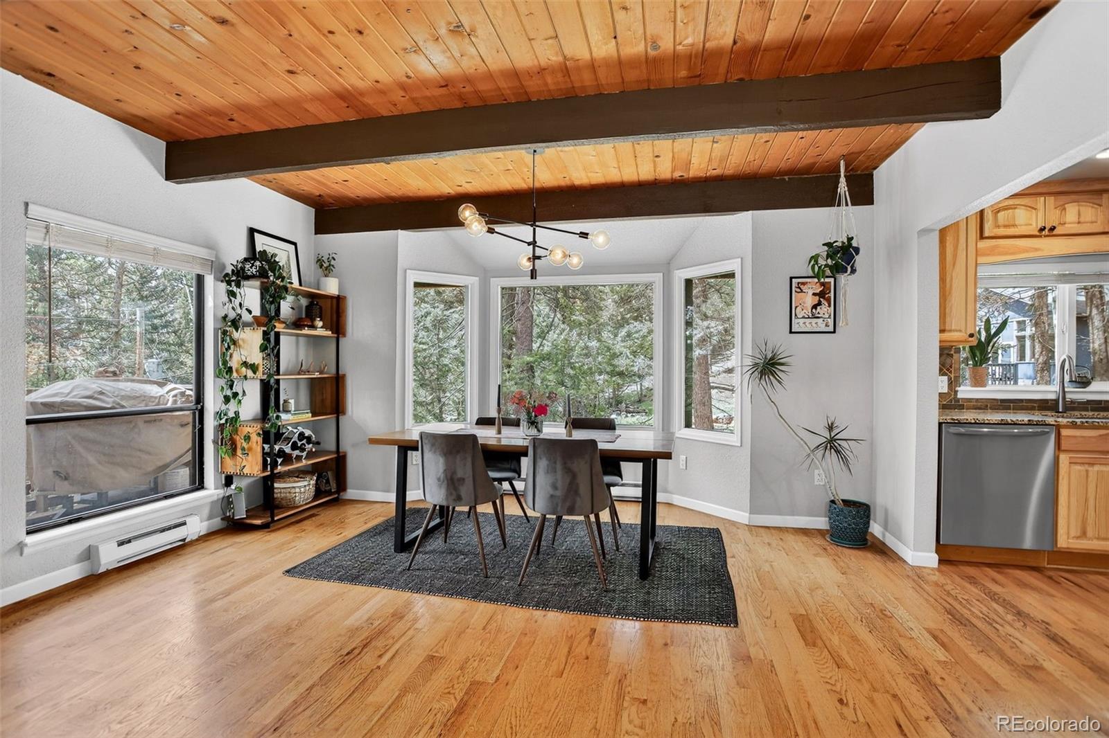 MLS Image #15 for 30914  kings valley drive,conifer, Colorado
