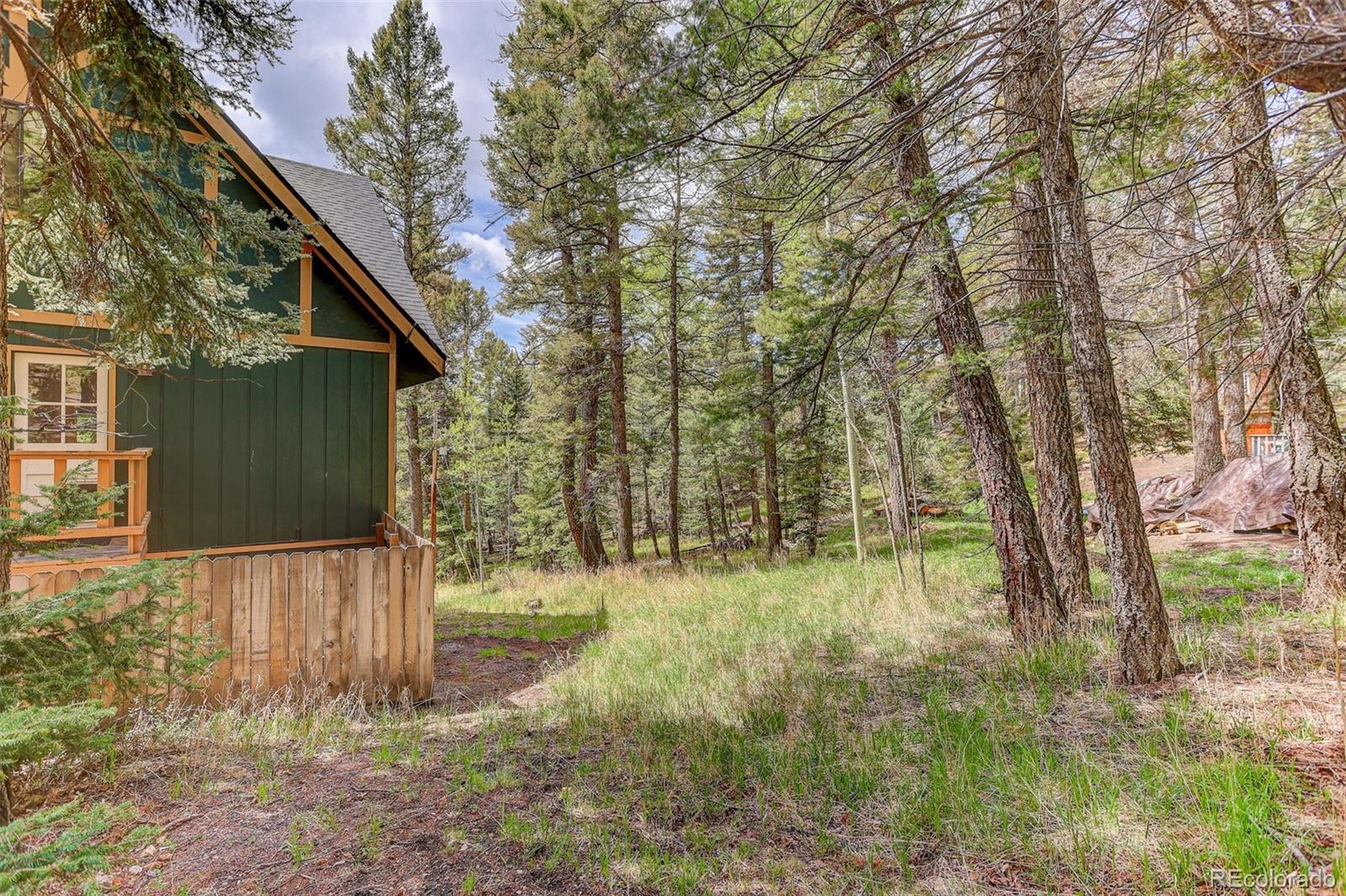 MLS Image #41 for 30914  kings valley drive,conifer, Colorado