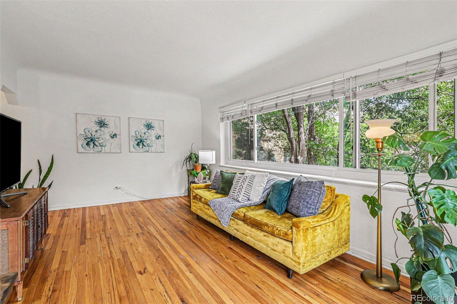 MLS Image #4 for 1520  glencoe street,denver, Colorado