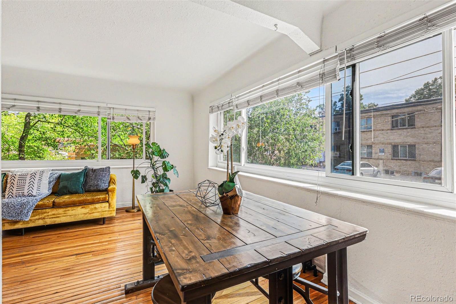 MLS Image #8 for 1520  glencoe street,denver, Colorado