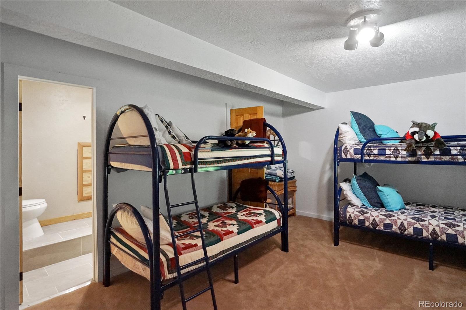 MLS Image #19 for 25  cottonwood trail,la veta, Colorado