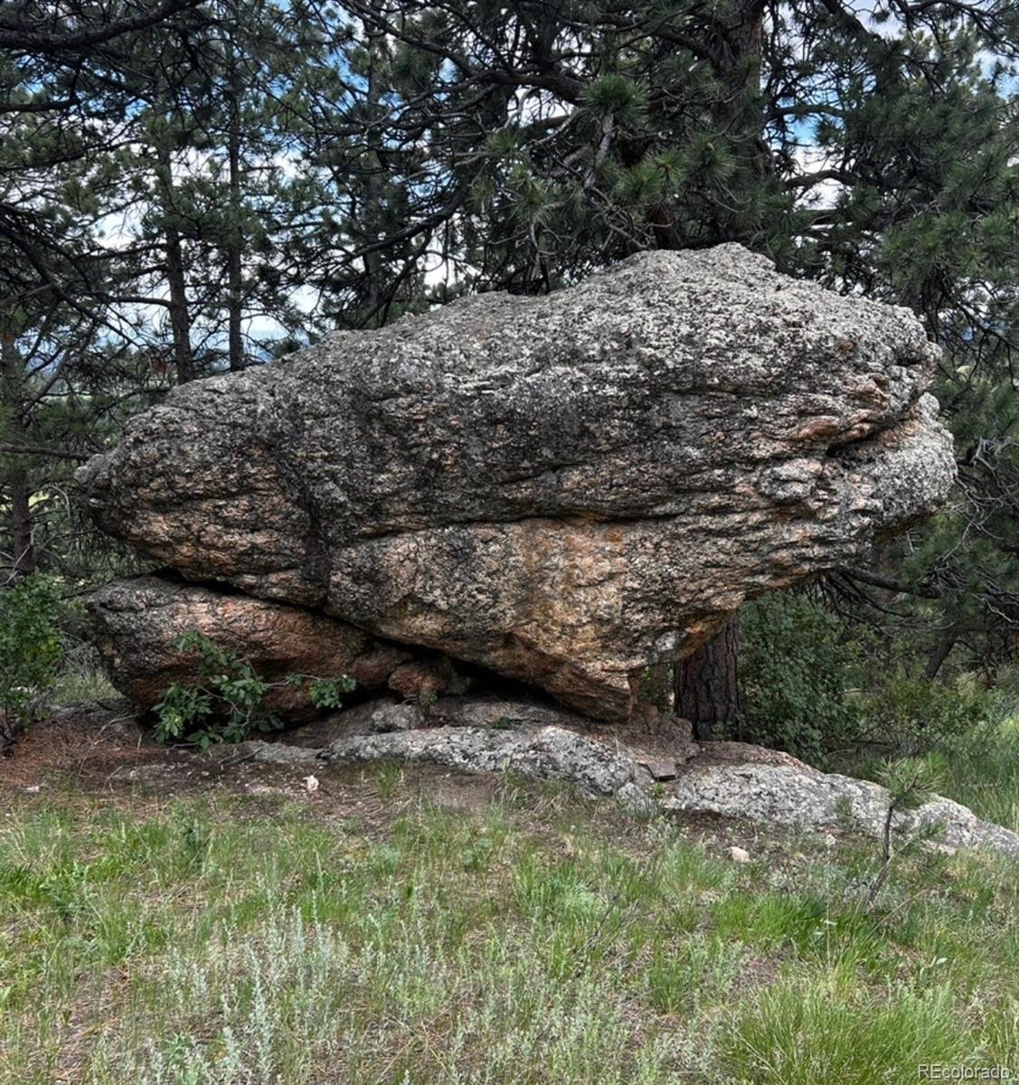 MLS Image #43 for 5607  crawford gulch road,golden, Colorado