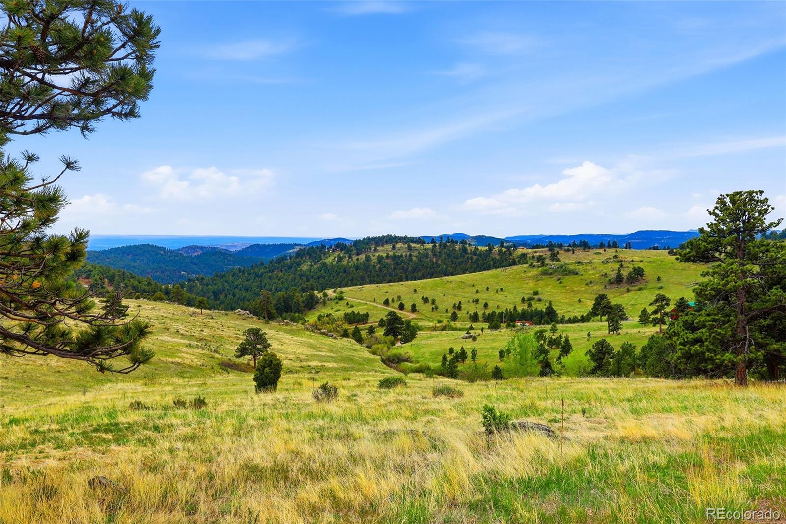 MLS Image #9 for 5607  crawford gulch road,golden, Colorado