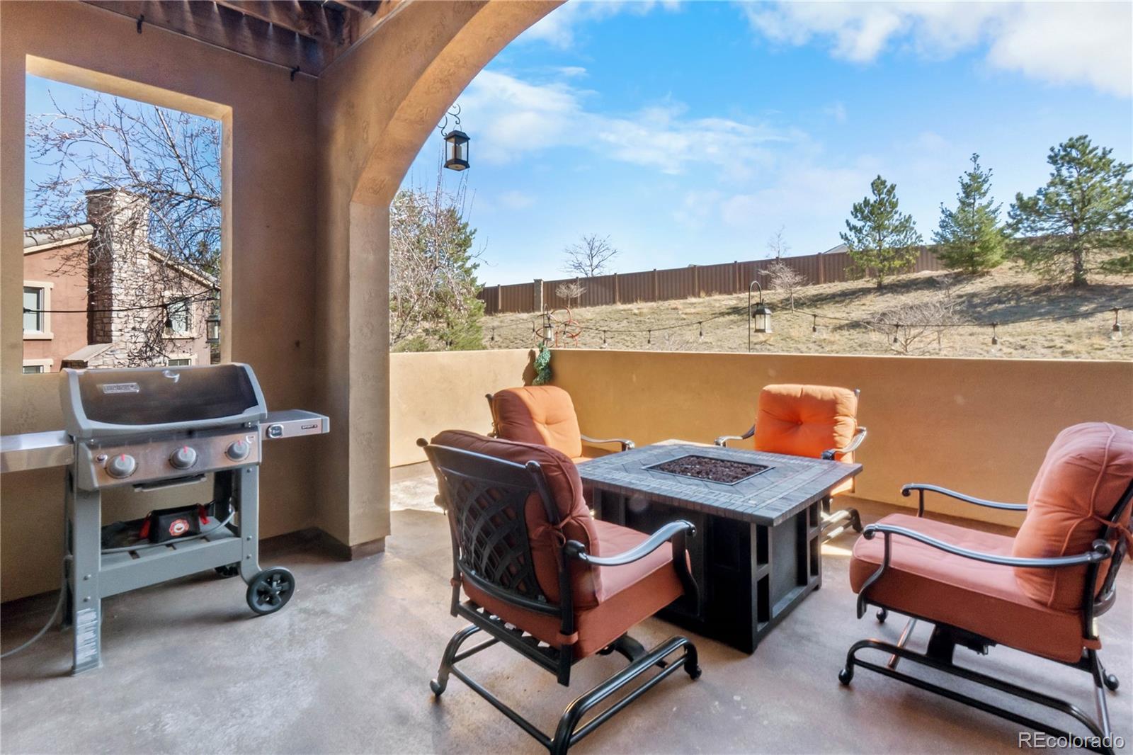MLS Image #23 for 9254  viaggio way,highlands ranch, Colorado