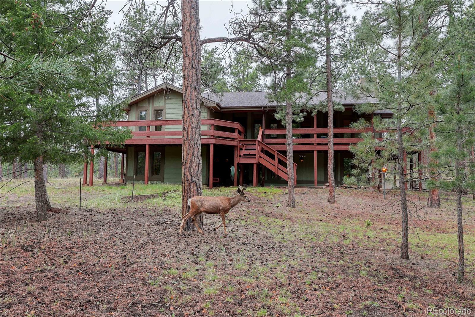 MLS Image #1 for 4490  red rock drive,larkspur, Colorado