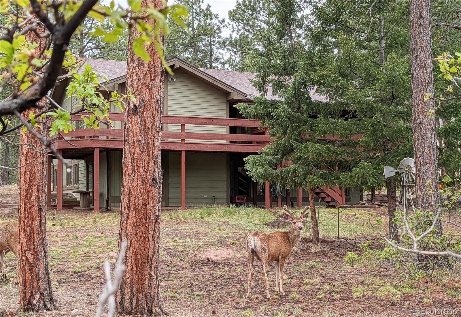 MLS Image #2 for 4490  red rock drive,larkspur, Colorado