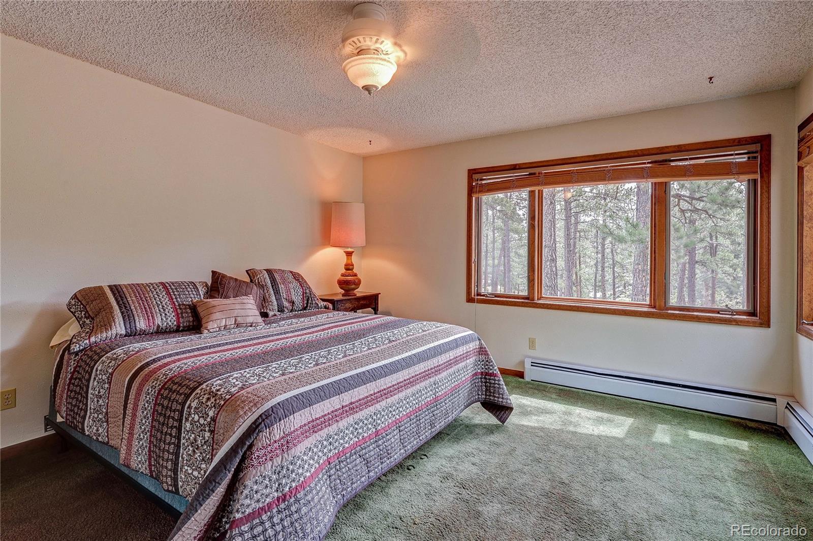 MLS Image #23 for 4490  red rock drive,larkspur, Colorado