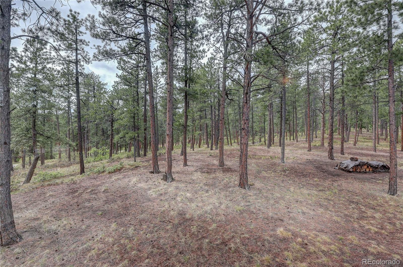 MLS Image #42 for 4490  red rock drive,larkspur, Colorado