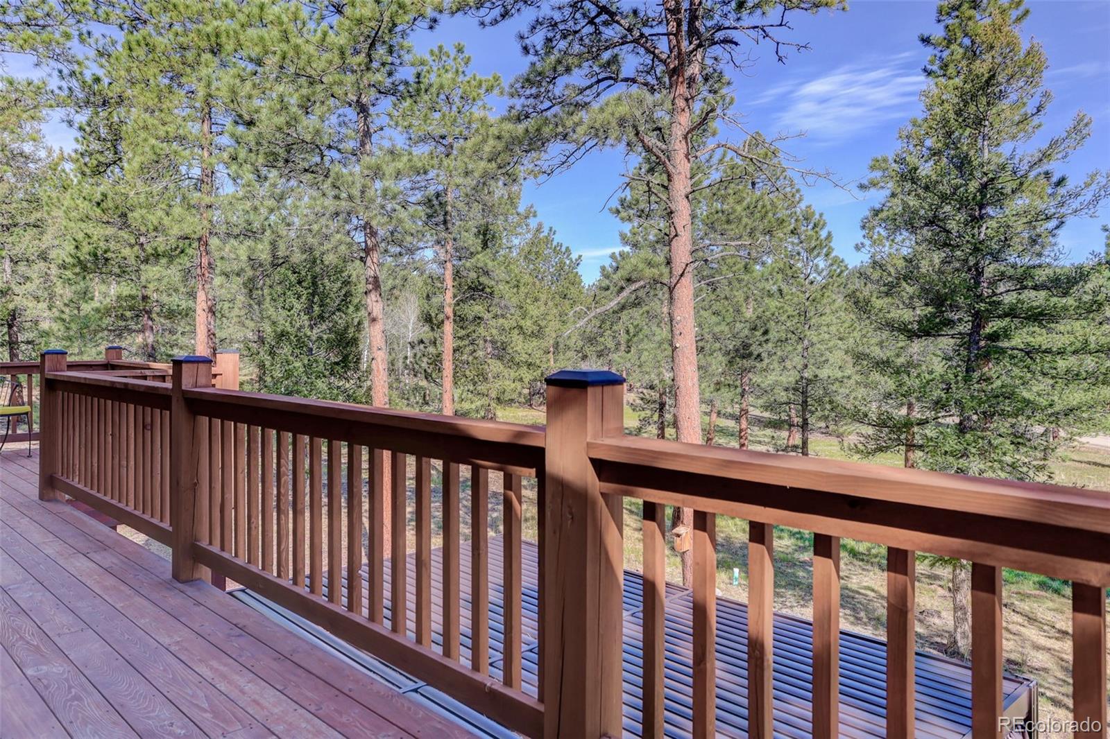 MLS Image #17 for 66  territory drive,pine, Colorado