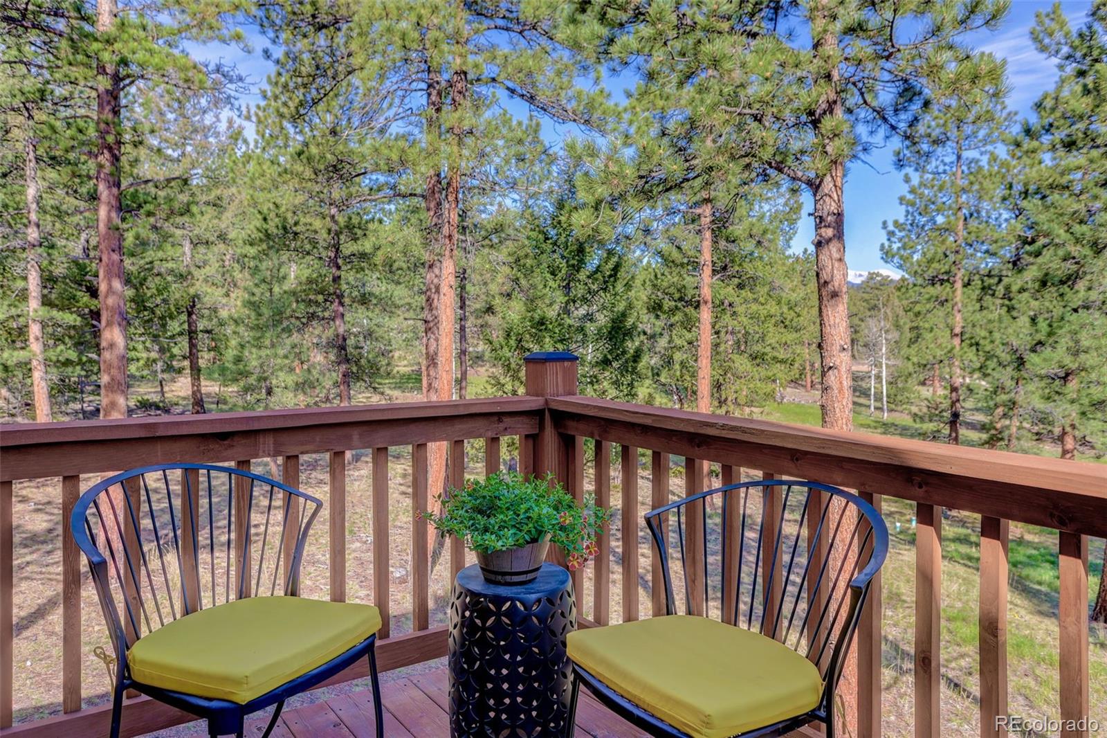MLS Image #18 for 66  territory drive,pine, Colorado