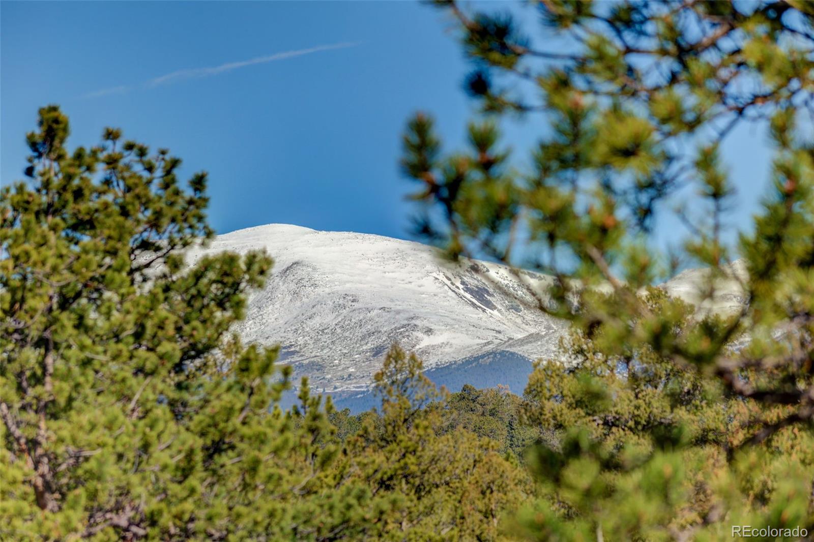 MLS Image #19 for 66  territory drive,pine, Colorado