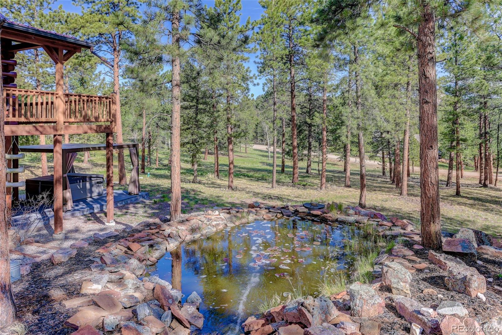 MLS Image #2 for 66  territory drive,pine, Colorado