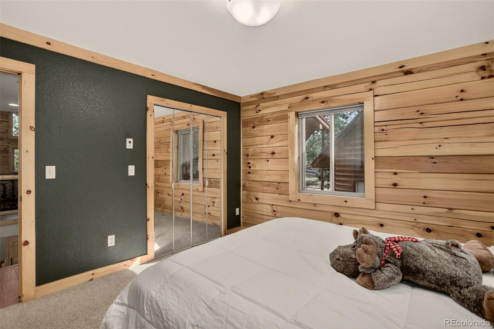 MLS Image #30 for 66  territory drive,pine, Colorado