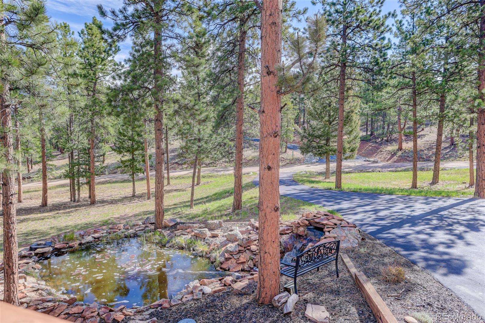MLS Image #4 for 66  territory drive,pine, Colorado