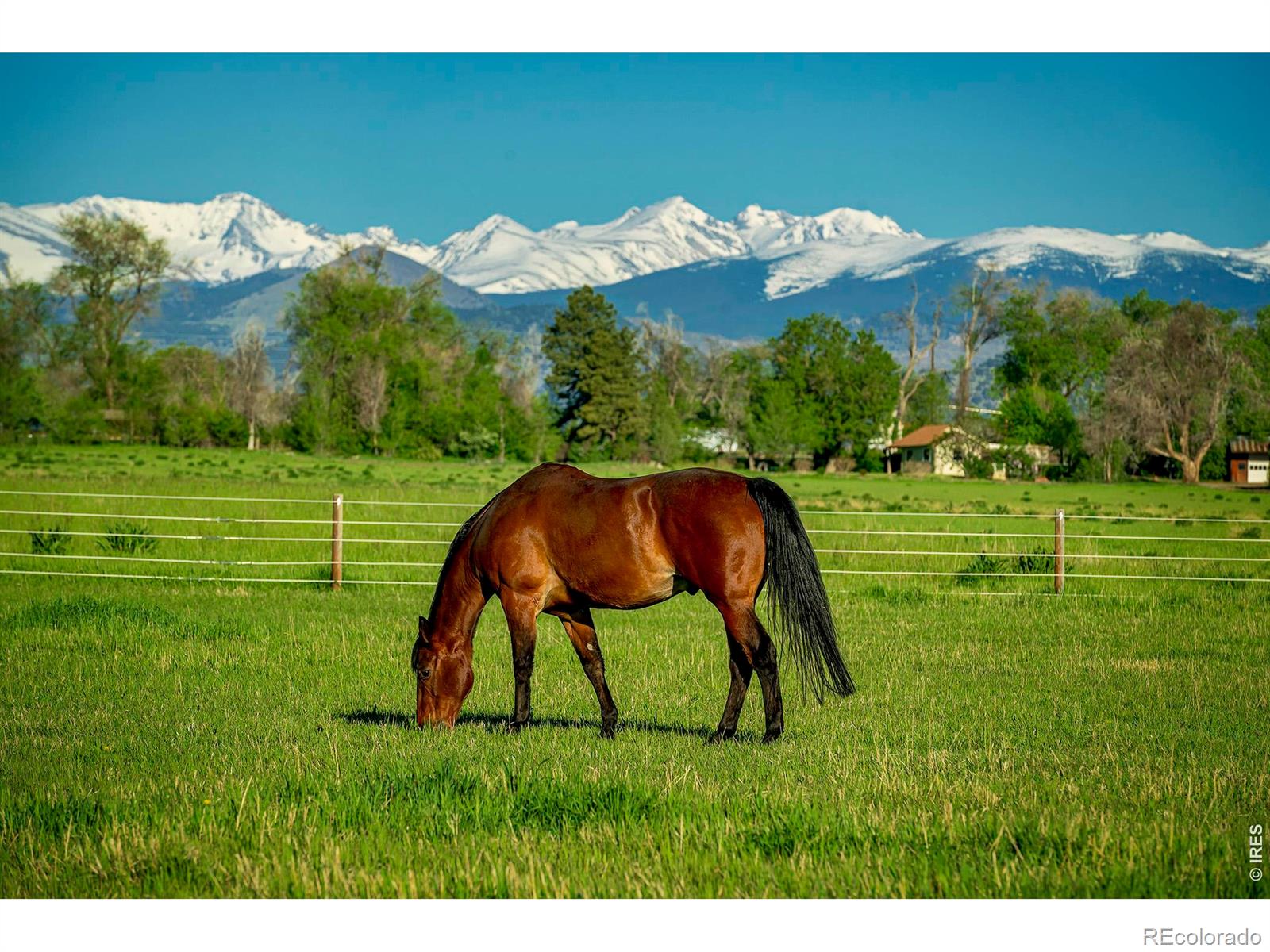 MLS Image #3 for 2300  75th street,boulder, Colorado