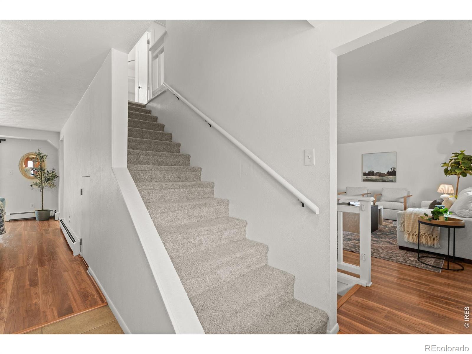 MLS Image #21 for 2402 n estrella avenue,loveland, Colorado