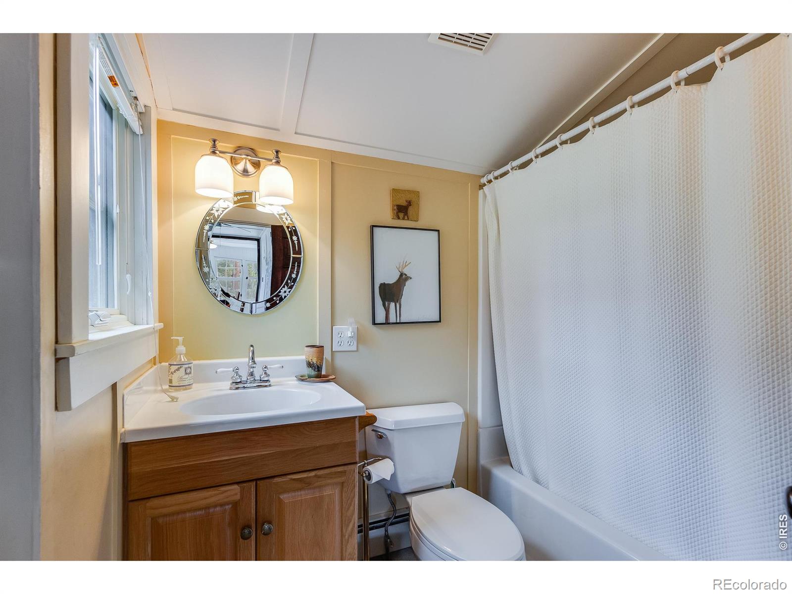 MLS Image #19 for 1731  high drive,estes park, Colorado