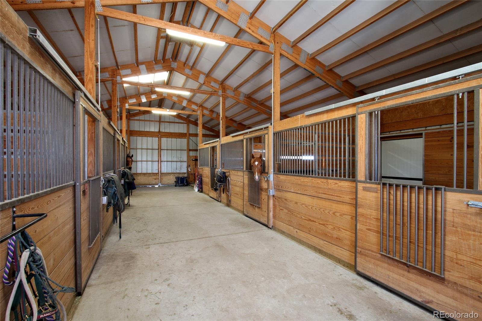 MLS Image #14 for 6213  lake gulch road,castle rock, Colorado