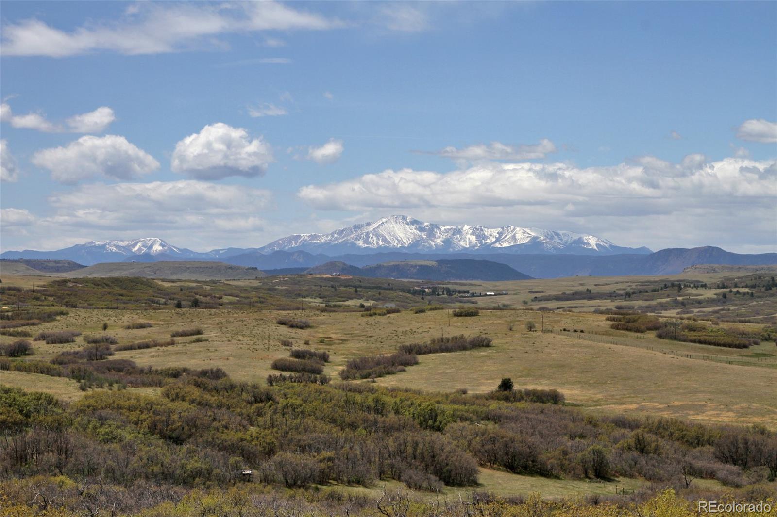MLS Image #8 for 6213  lake gulch road,castle rock, Colorado