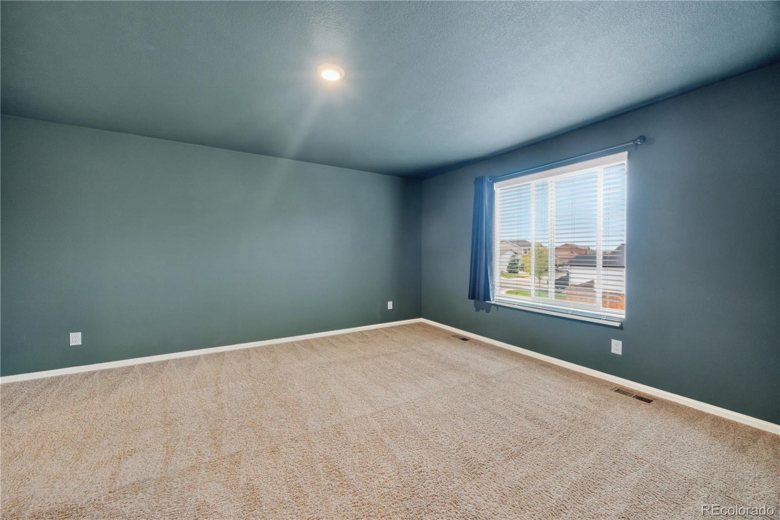 MLS Image #10 for 10122  intrepid way,colorado springs, Colorado