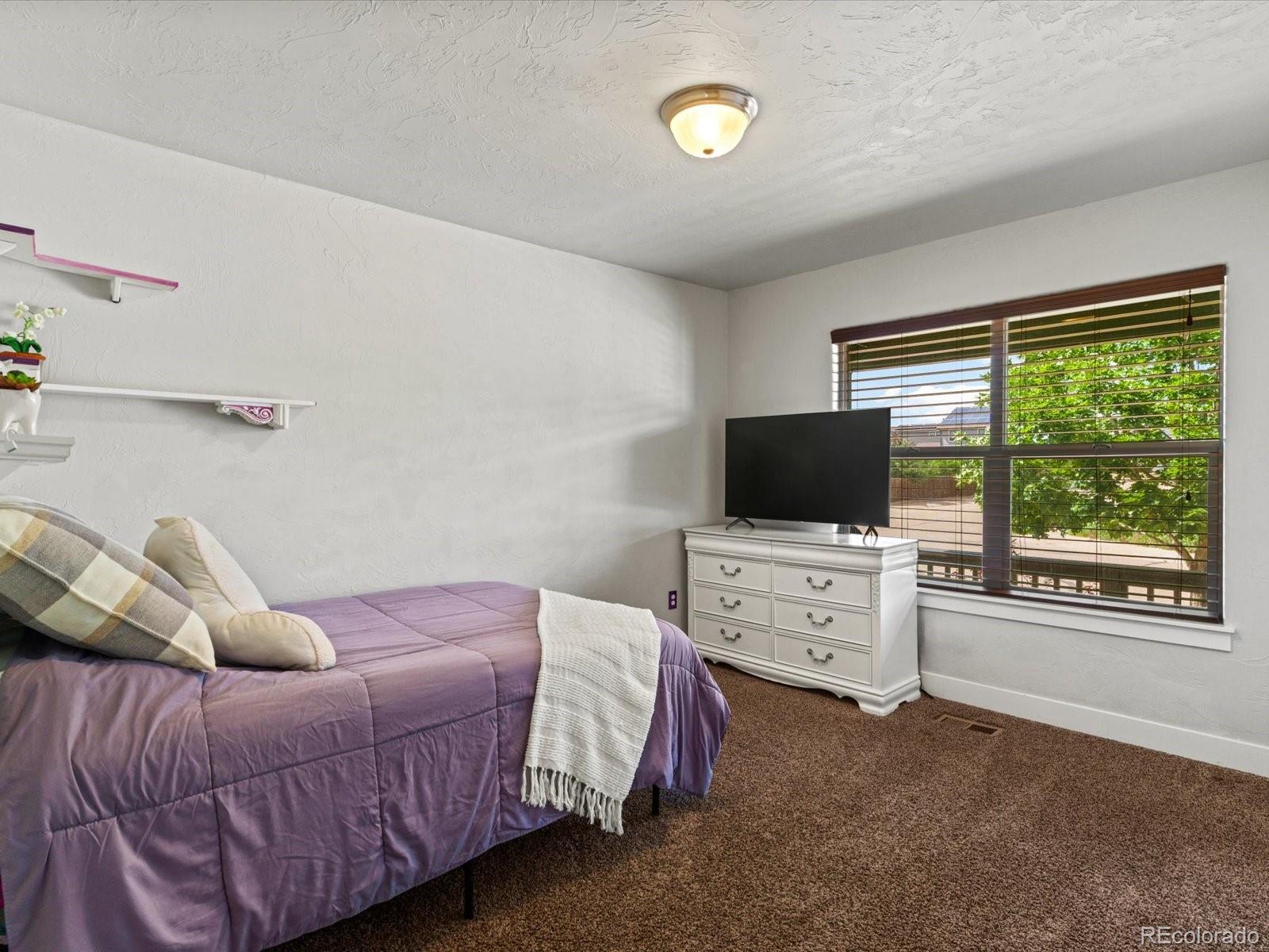 MLS Image #22 for 2434  carriage drive,milliken, Colorado