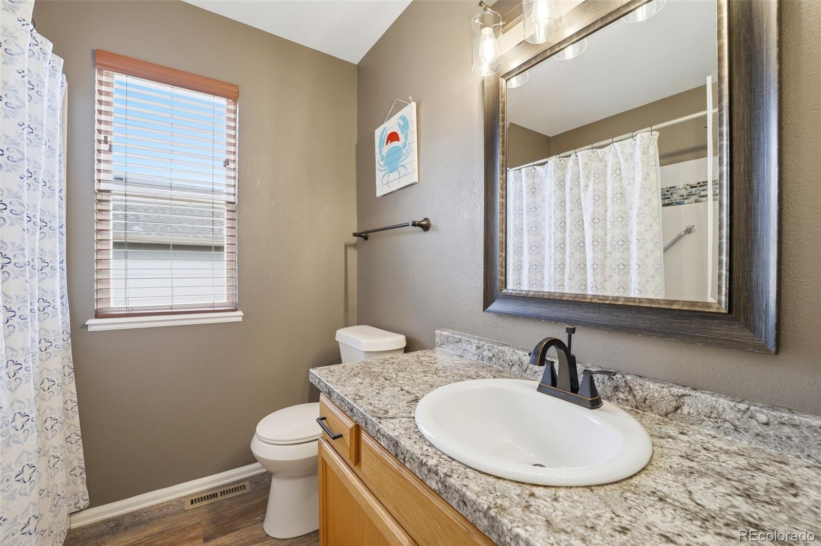 MLS Image #11 for 1108  scarlet oak drive,colorado springs, Colorado