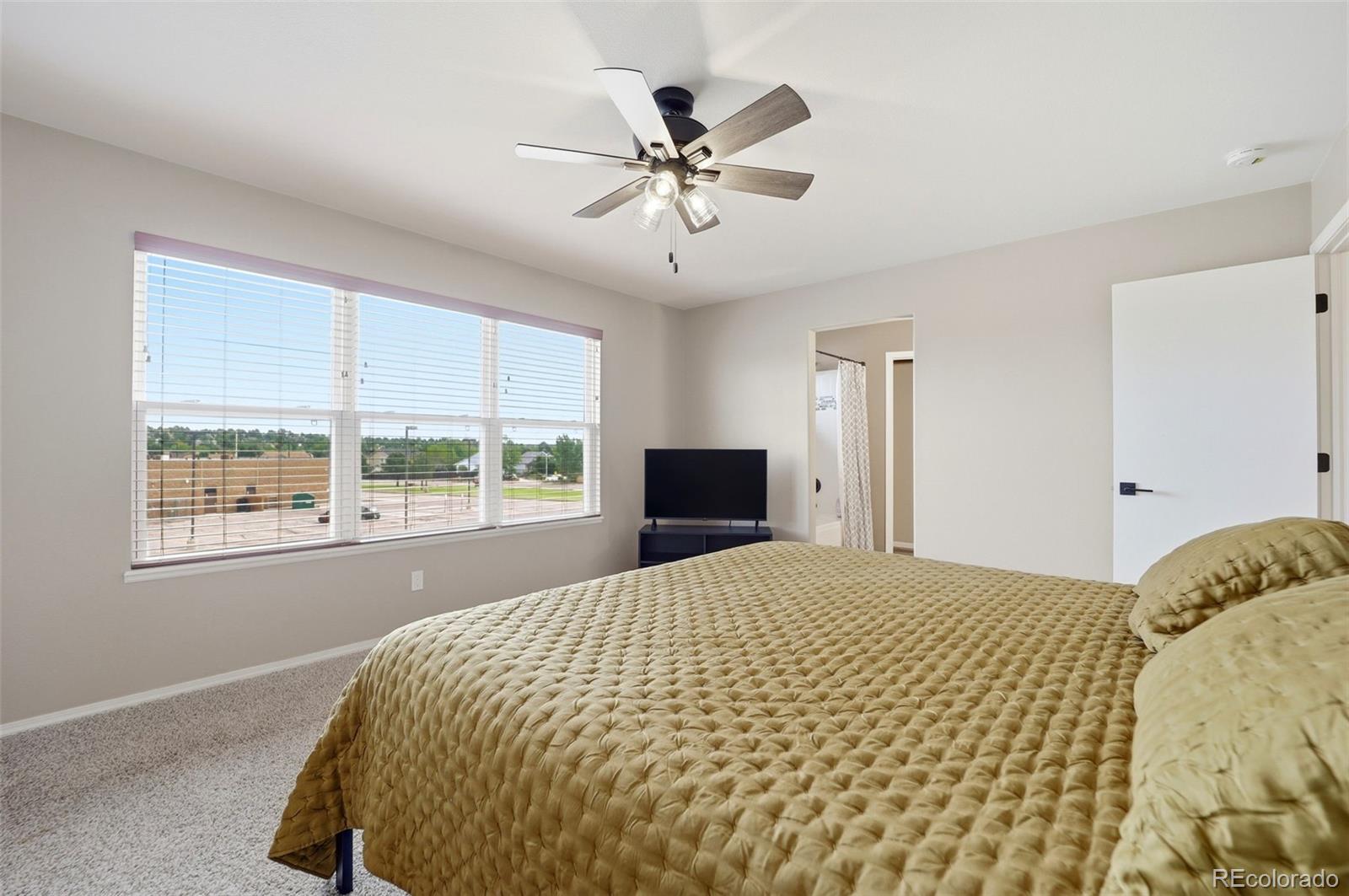 MLS Image #18 for 1108  scarlet oak drive,colorado springs, Colorado