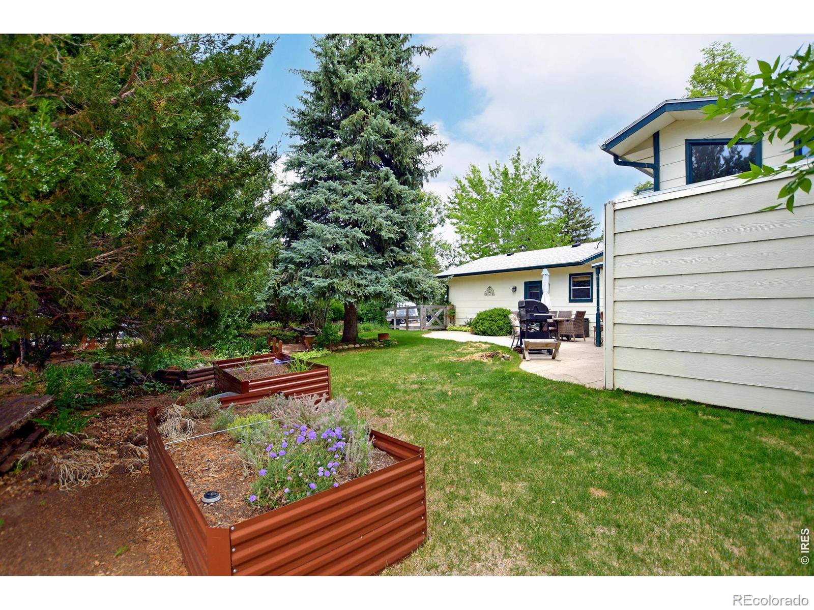 MLS Image #34 for 6217  constellation drive,fort collins, Colorado