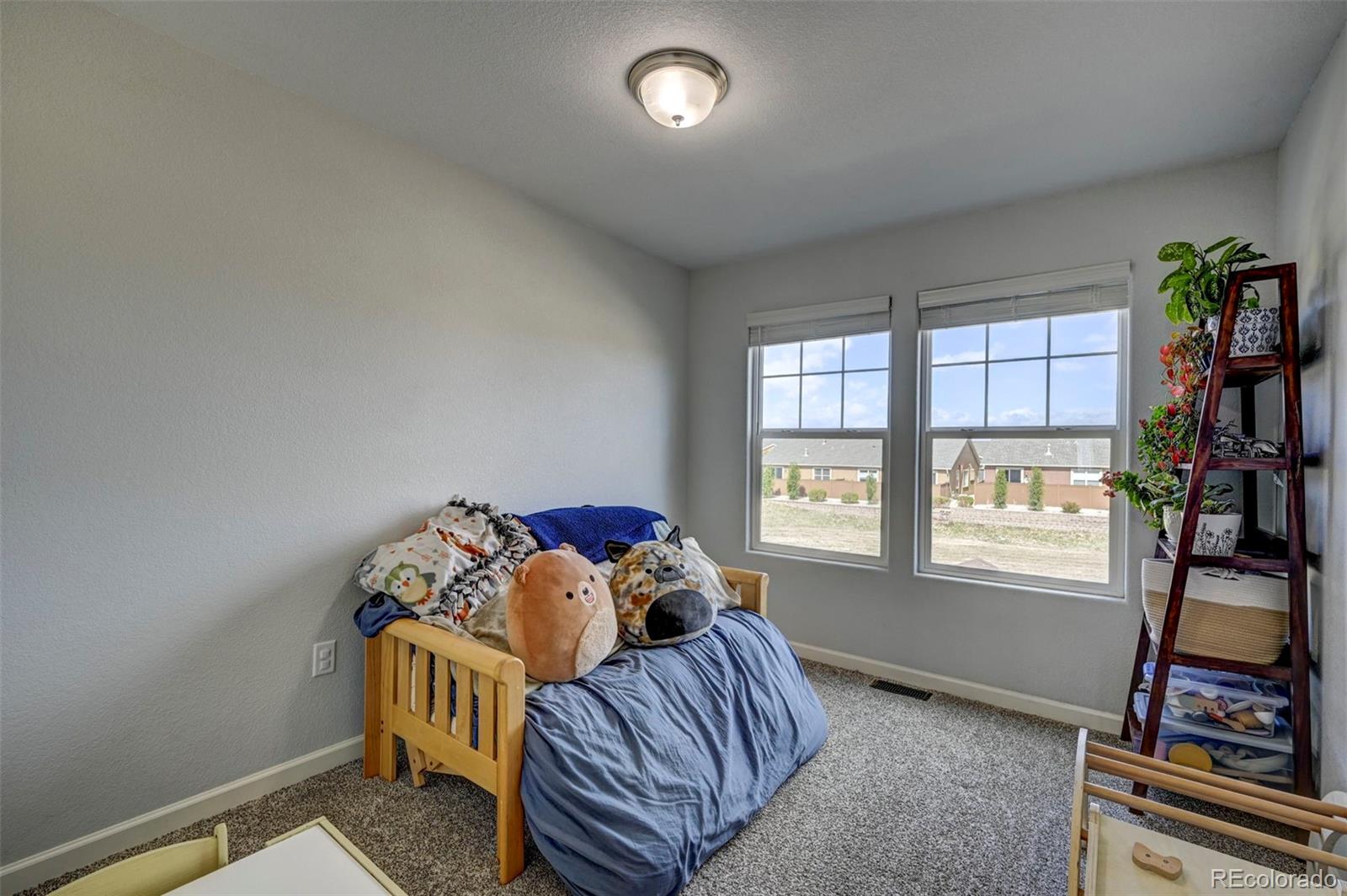 MLS Image #28 for 5644  shamrock heights,colorado springs, Colorado