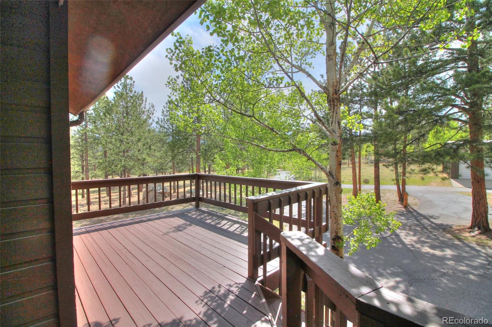 MLS Image #10 for 850  hangmans road,bailey, Colorado
