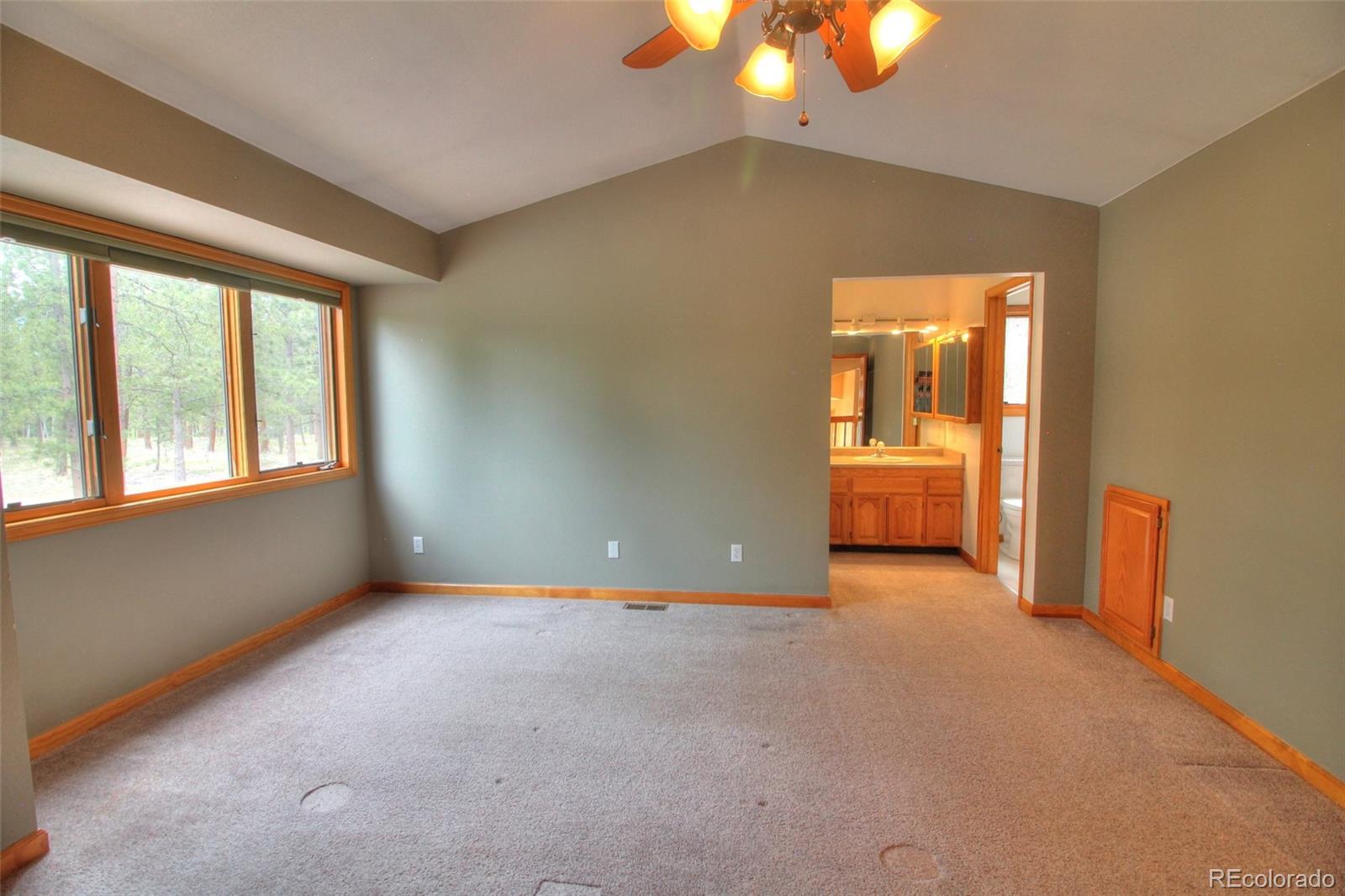 MLS Image #16 for 850  hangmans road,bailey, Colorado