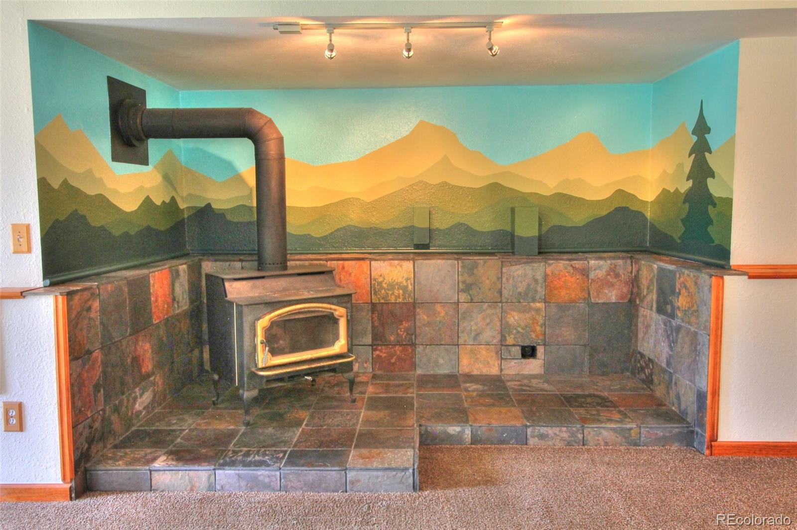 MLS Image #30 for 850  hangmans road,bailey, Colorado