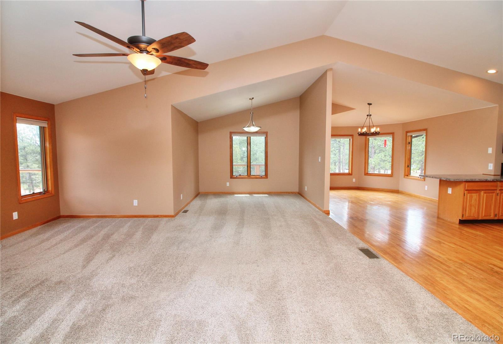 MLS Image #9 for 850  hangmans road,bailey, Colorado