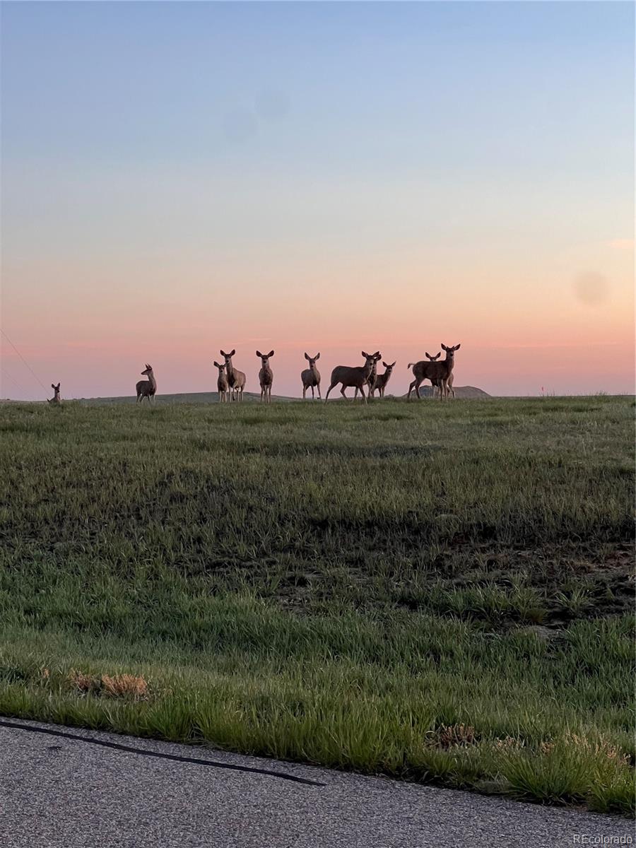 MLS Image #47 for 625  coyote trail,elizabeth, Colorado