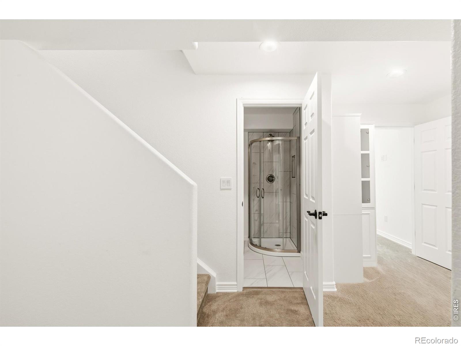 MLS Image #29 for 14276  corrine court,broomfield, Colorado