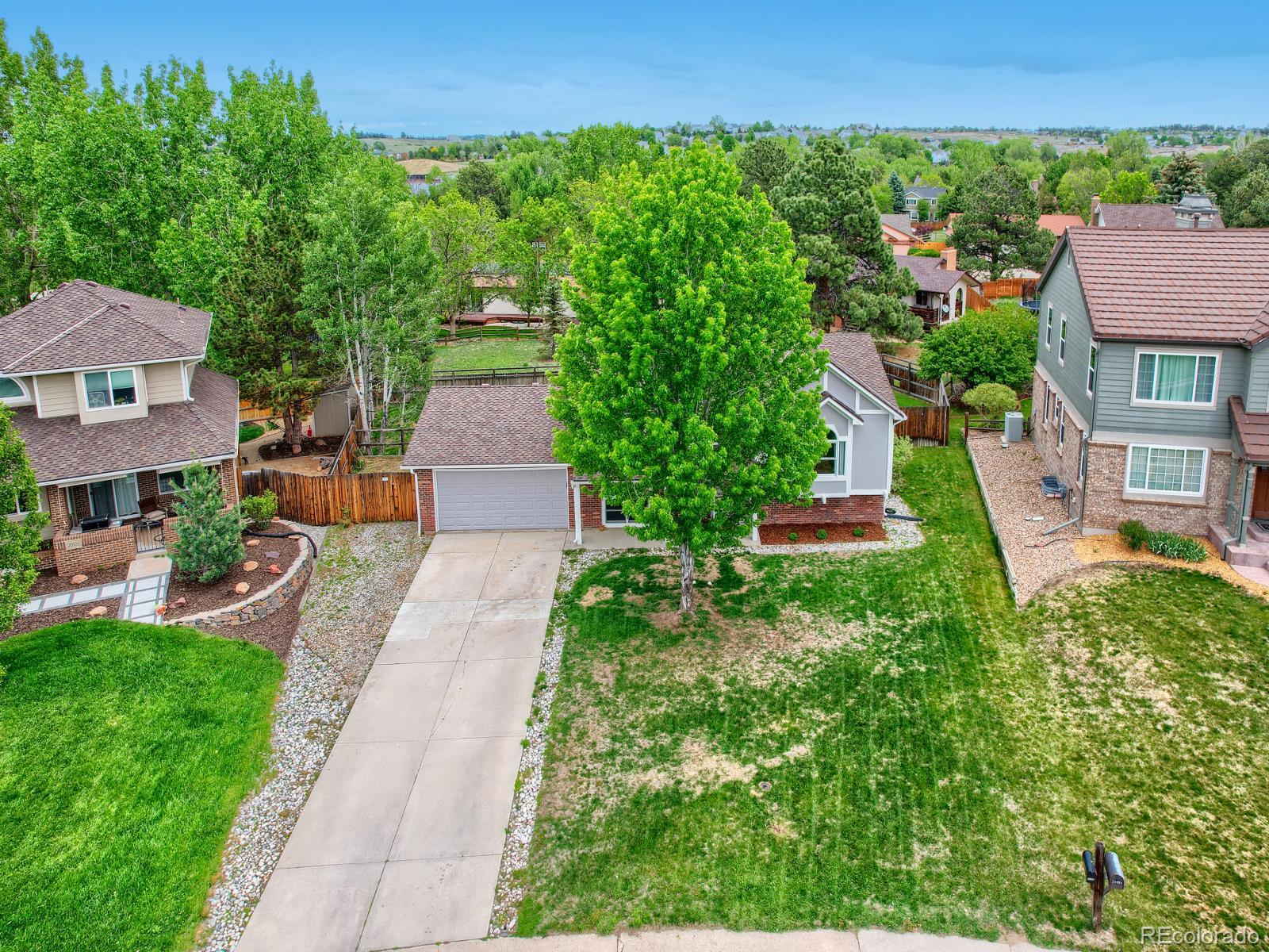 MLS Image #3 for 20130  edinborough court,parker, Colorado