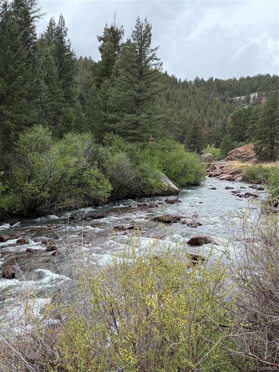 MLS Image #34 for 14669 s foxton road,conifer, Colorado