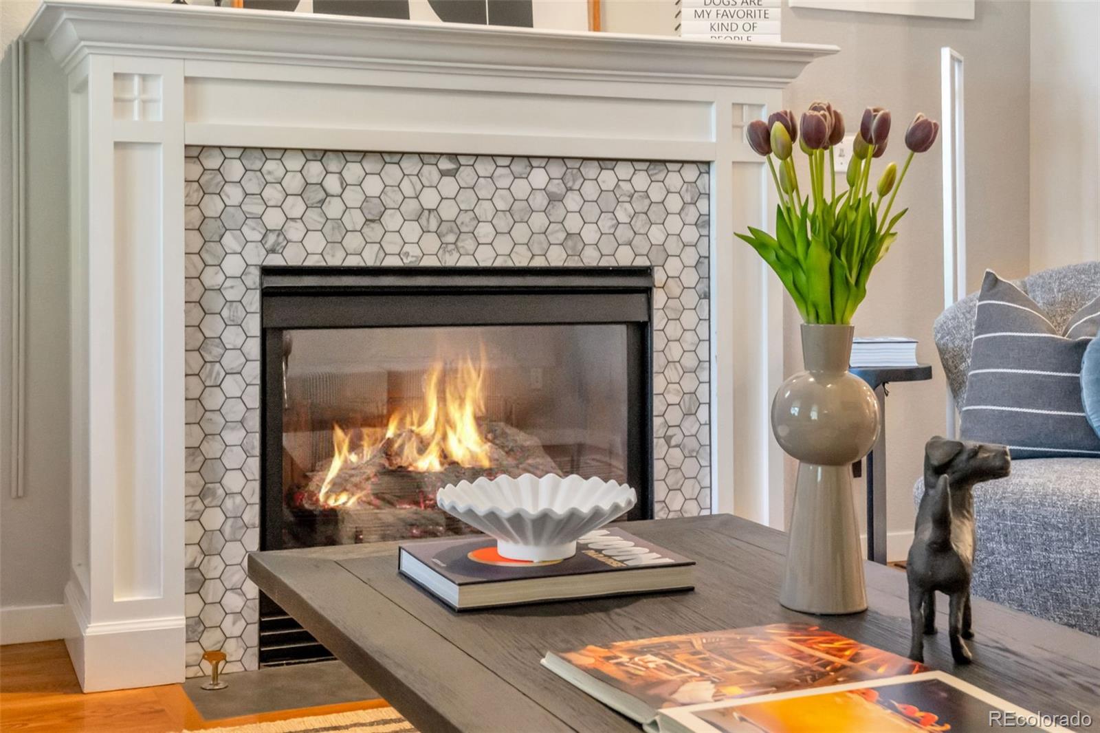 MLS Image #4 for 2747  ulster street,denver, Colorado