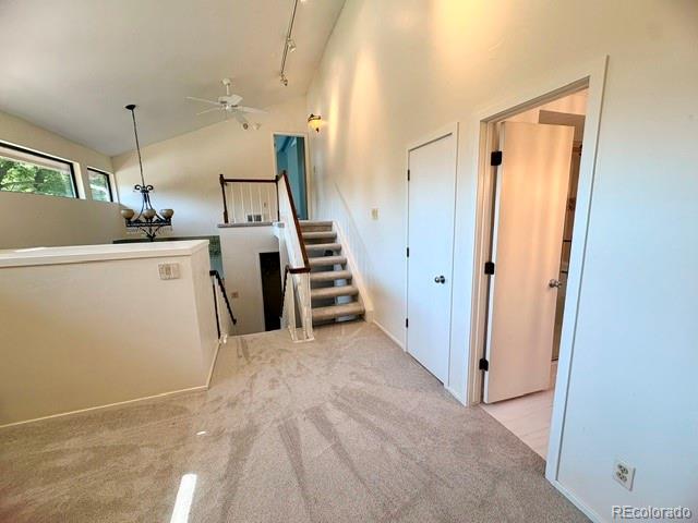MLS Image #19 for 11629  quivas circle,denver, Colorado