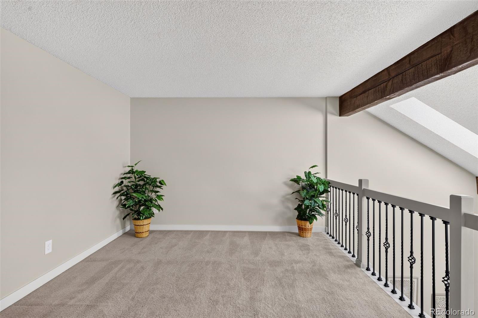 MLS Image #20 for 11899  elk head range road,littleton, Colorado