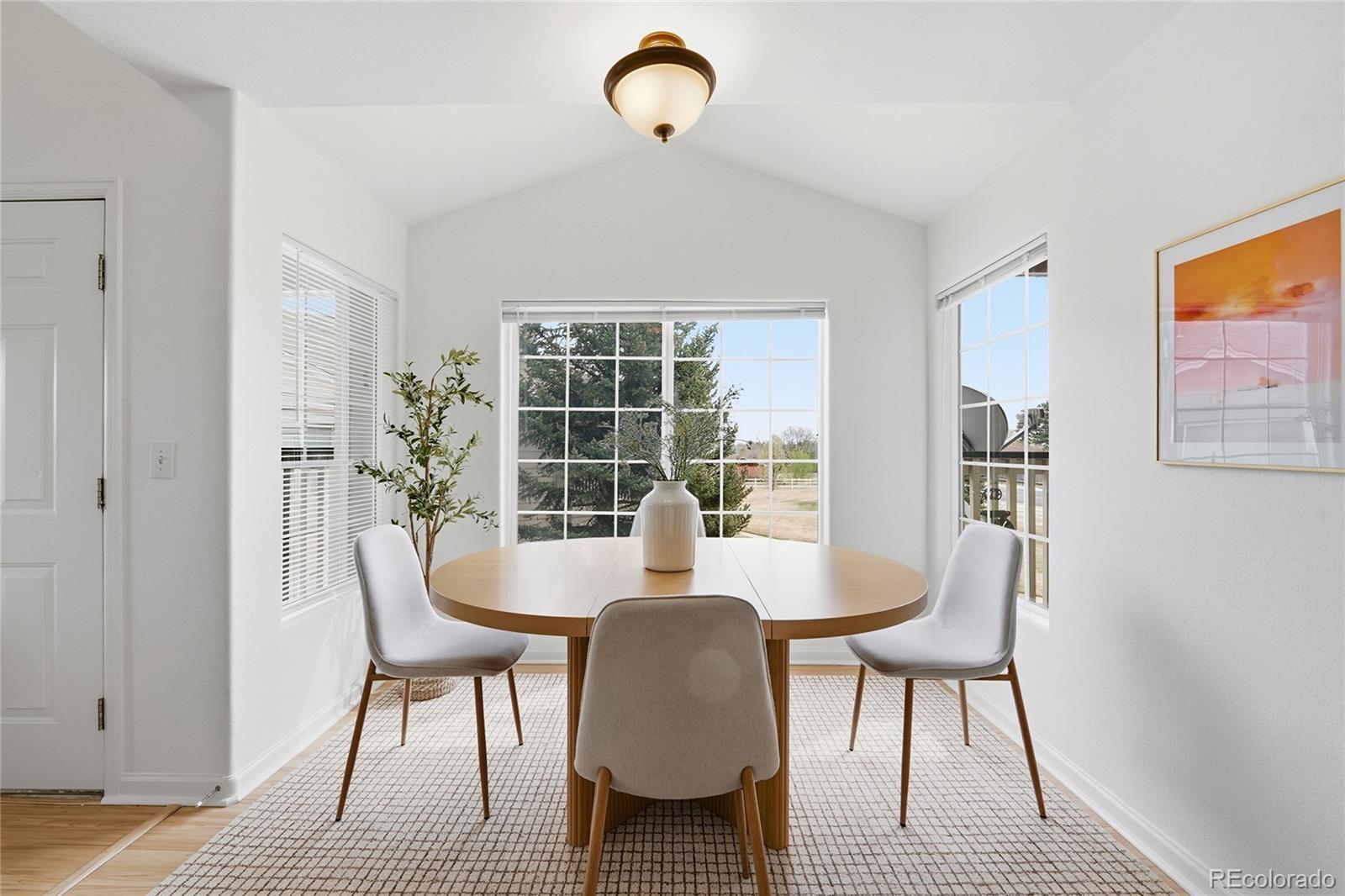 MLS Image #5 for 1010  opal street,broomfield, Colorado