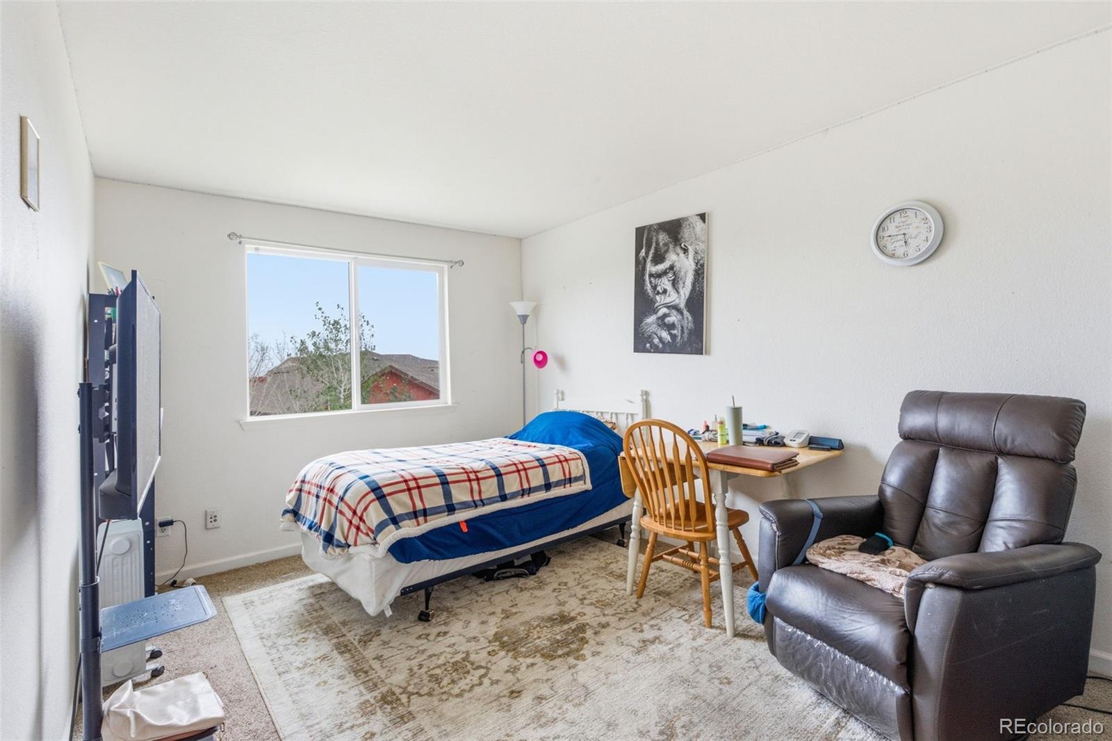 MLS Image #15 for 5363  tall spruce street,brighton, Colorado