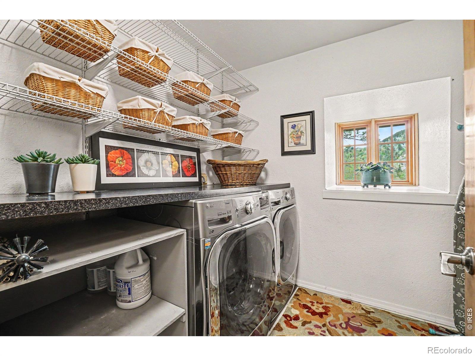 MLS Image #16 for 239  estes park estates drive,lyons, Colorado