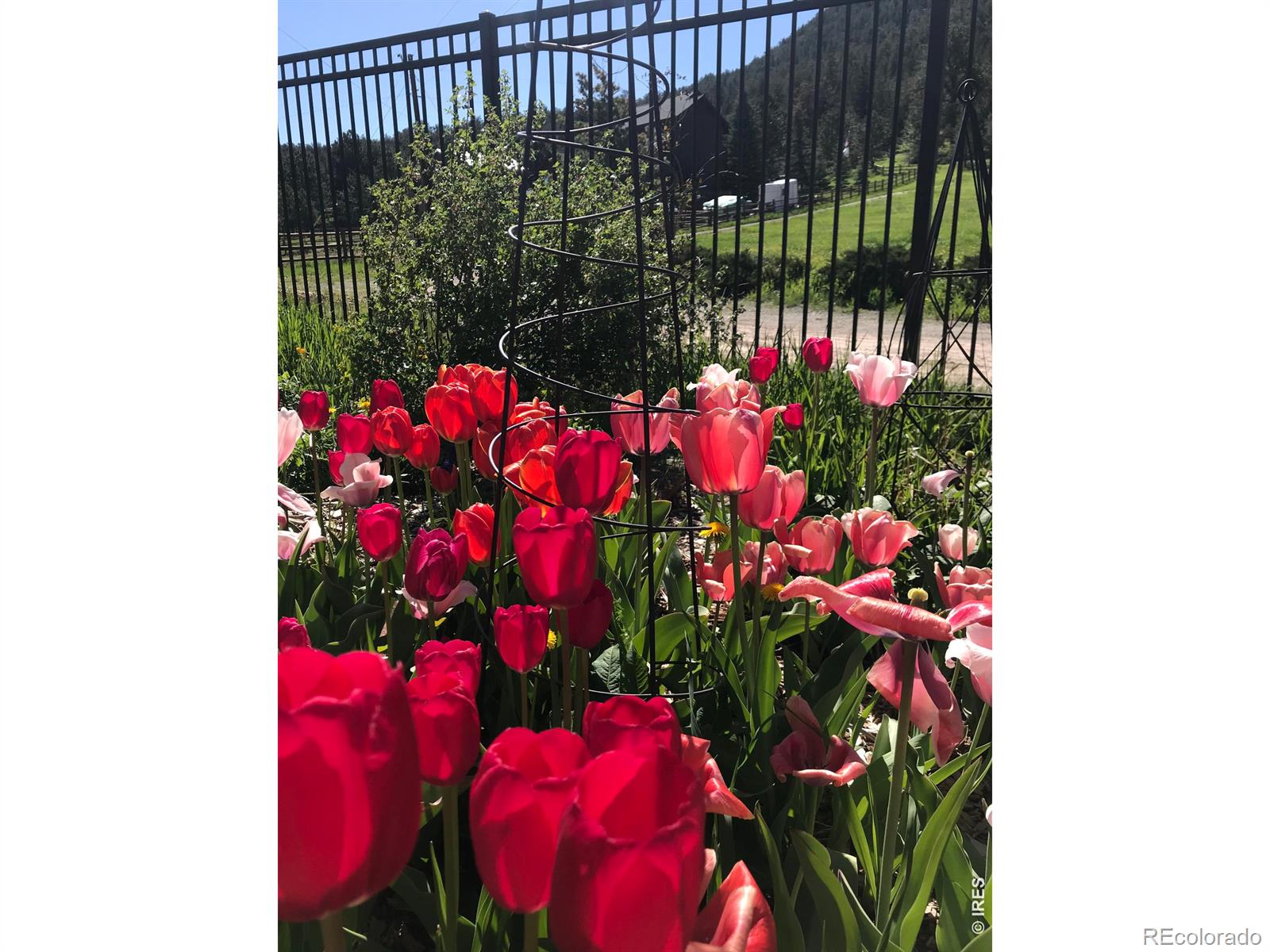 MLS Image #32 for 239  estes park estates drive,lyons, Colorado