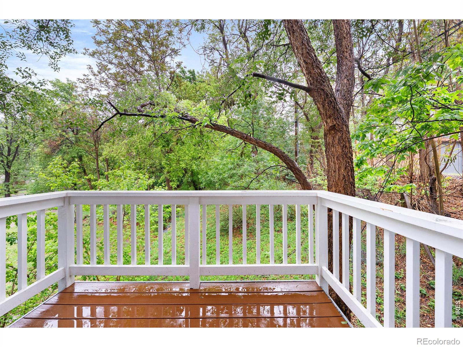 MLS Image #8 for 553  pearl street,boulder, Colorado