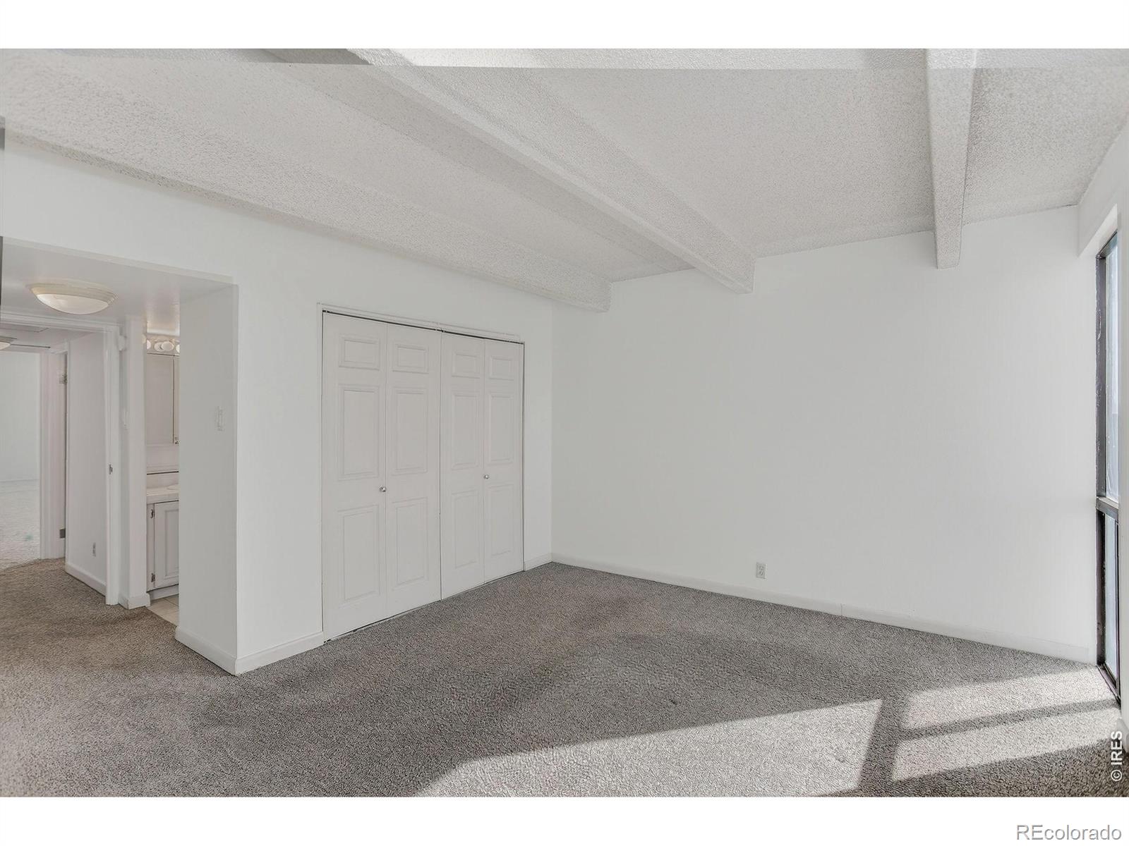 MLS Image #19 for 777 n washington street 1004,denver, Colorado